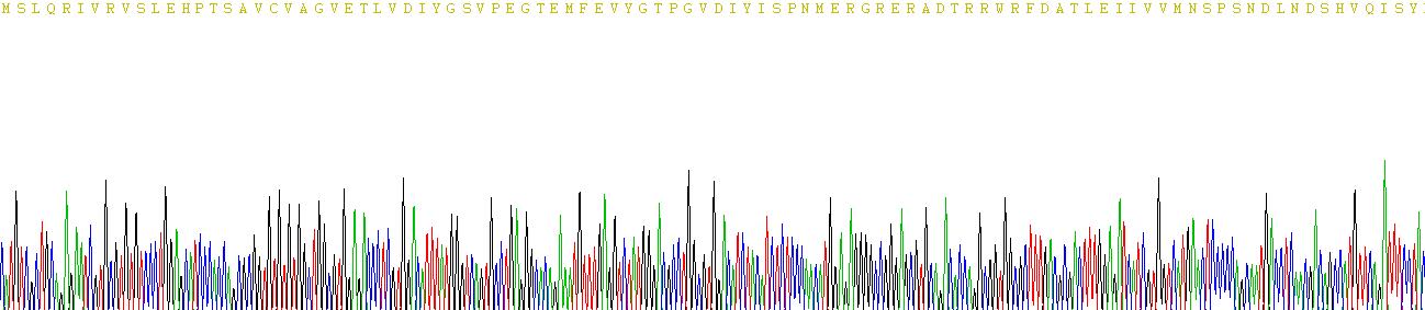 Recombinant Peptidyl Arginine Deiminase Type III (PADI3)