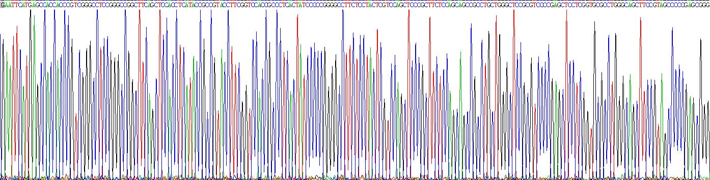 Recombinant Peripherin (PRPH)