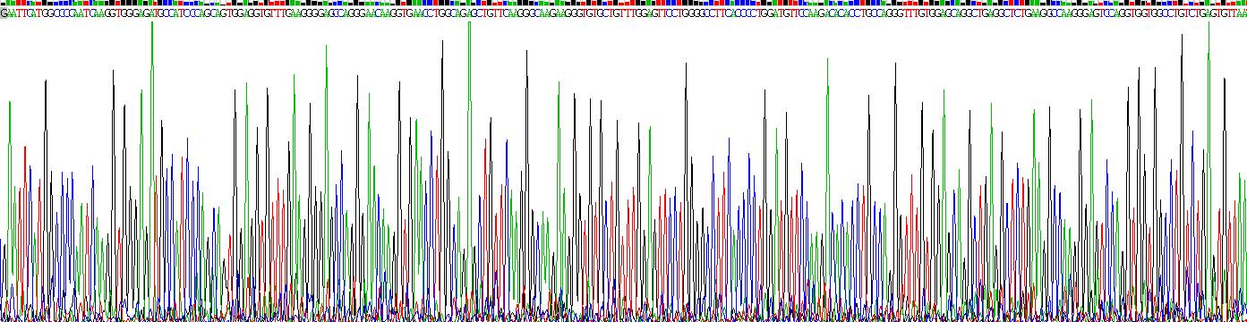 Recombinant Peroxiredoxin 5 (PRDX5)