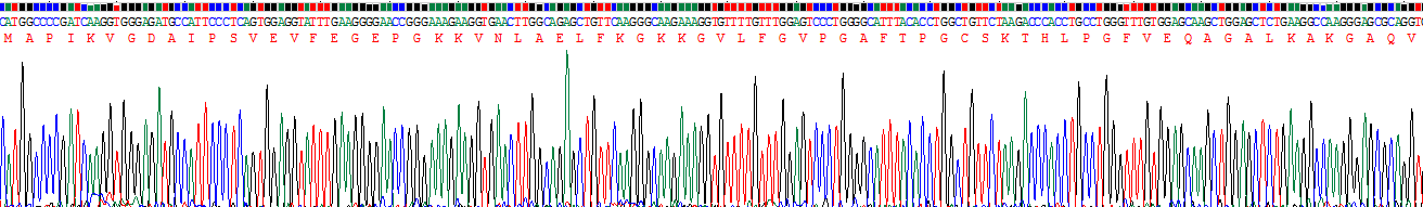 Recombinant Peroxiredoxin 5 (PRDX5)