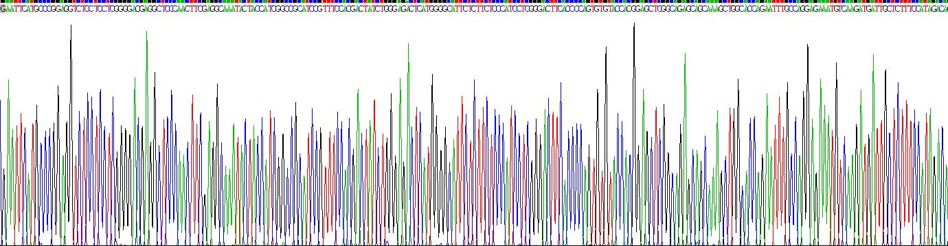 Recombinant Peroxiredoxin 6 (PRDX6)