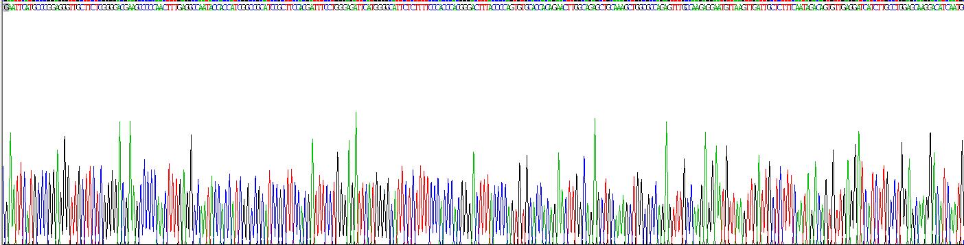 Recombinant Peroxiredoxin 6 (PRDX6)