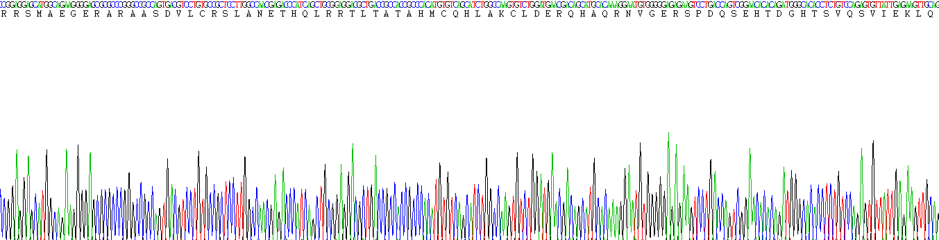 Recombinant Tumor Necrosis Factor Alpha Induced Protein 3 Interacting Protein 2 (TNIP2)