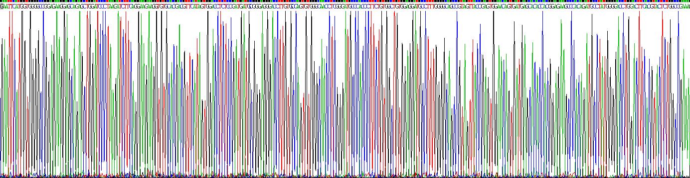 Recombinant Transient Receptor Potential Cation Channel Subfamily M, Member 4 (TRPM4)