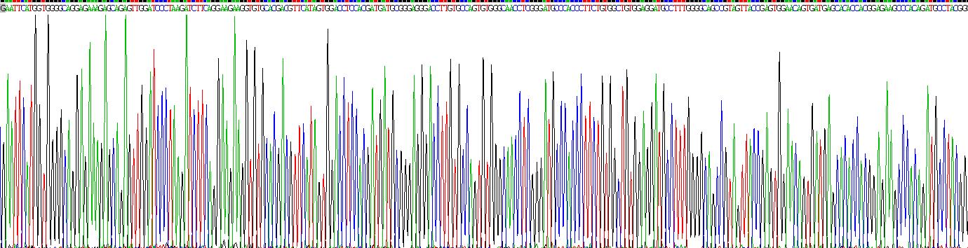 Recombinant Transient Receptor Potential Cation Channel Subfamily M, Member 4 (TRPM4)