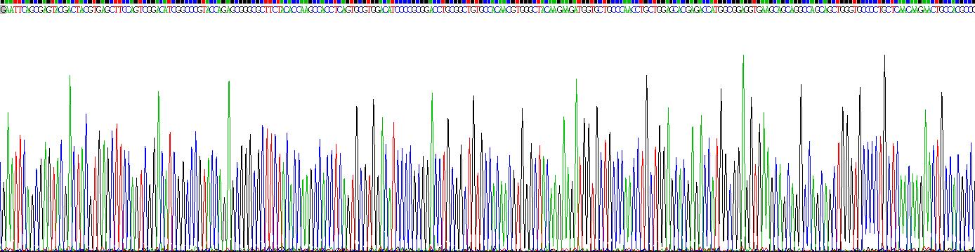 Recombinant Secreted Frizzled Related Protein 1 (SFRP1)