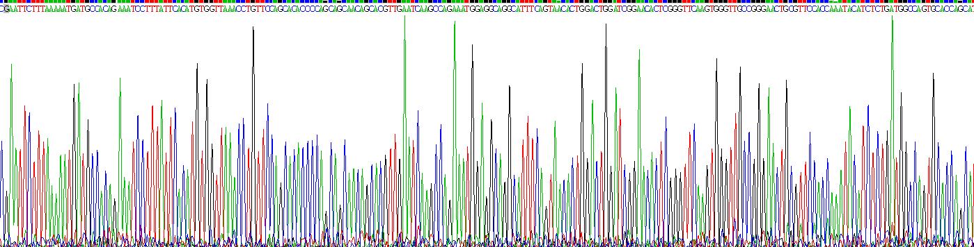 Recombinant Sclerostin Domain Containing Protein 1 (SOSTDC1)