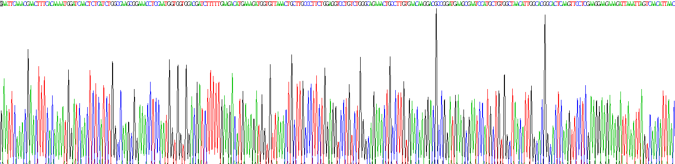 Recombinant Nesprin 1 (Nesp1)