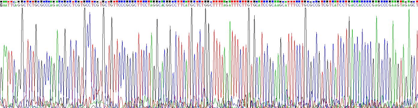 Recombinant Deiodinase, Iodothyronine, Type III (DIO3)