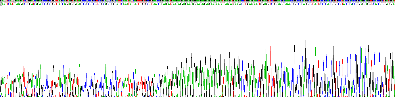 Recombinant Reticulon 4 (RTN4)