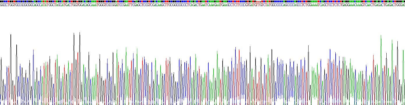 Recombinant Gamma-Aminobutyric Acid A Receptor Epsilon (gABRe)