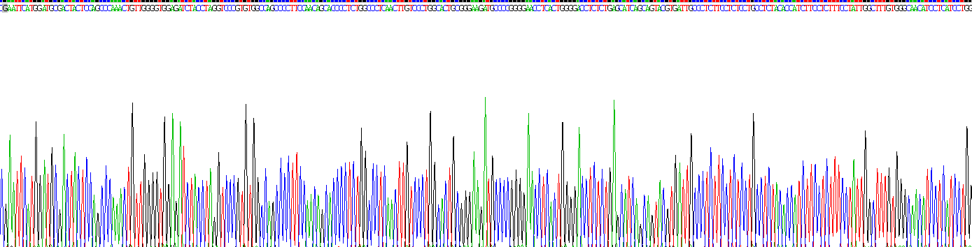 Recombinant G Protein Coupled Estrogen Receptor 1 (GPER)