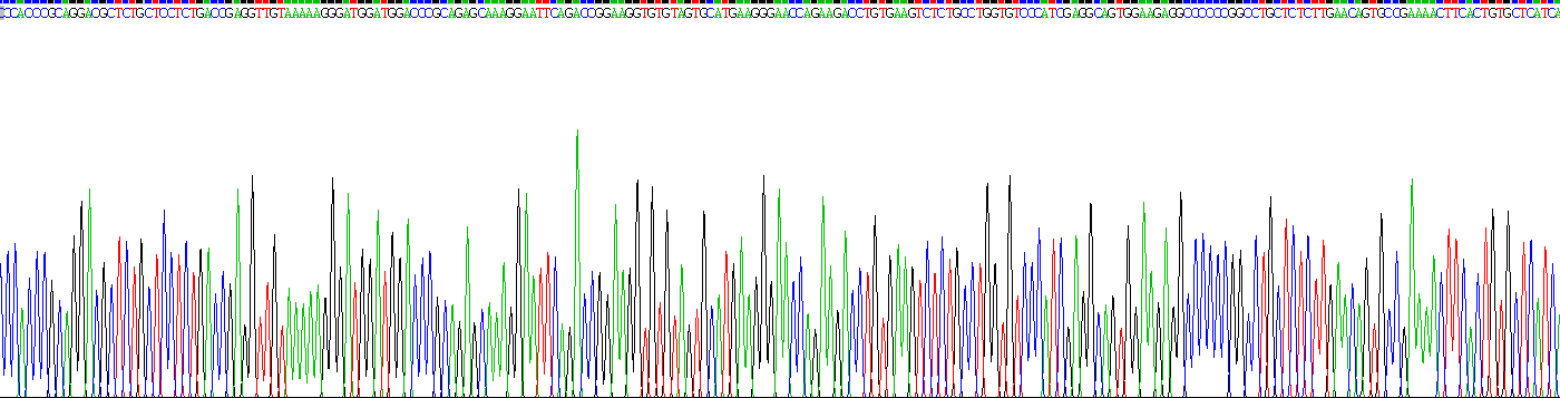 Recombinant Purinergic Receptor P2X, Ligand Gated Ion Channel 7 (P2RX7)