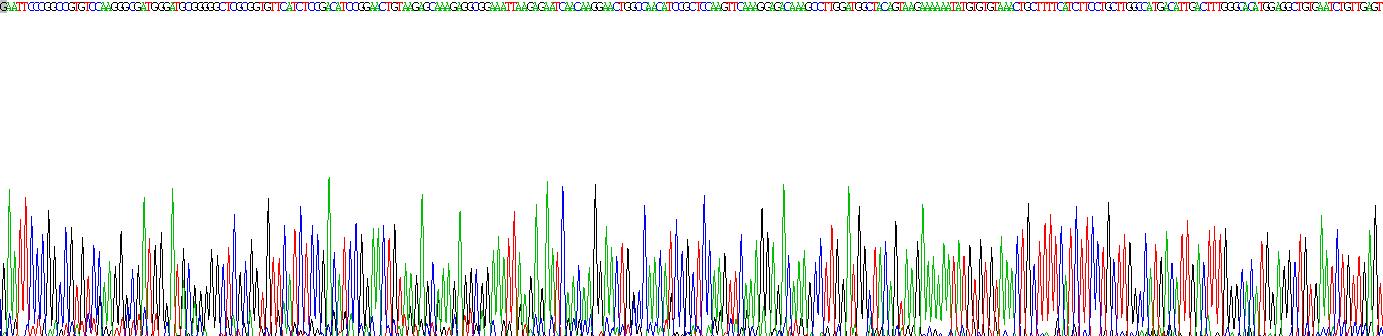 Recombinant Adaptor Related Protein Complex 2 Alpha 1 (AP2a1)