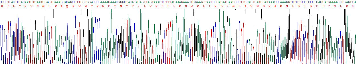 Recombinant Aspartate Beta Hydroxylase (ASPH)