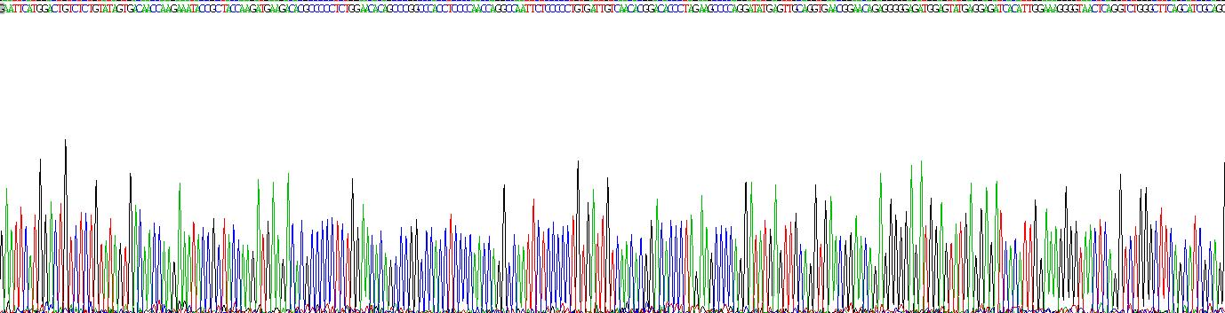 Recombinant Discs, Large Homolog 4 (DLG4)