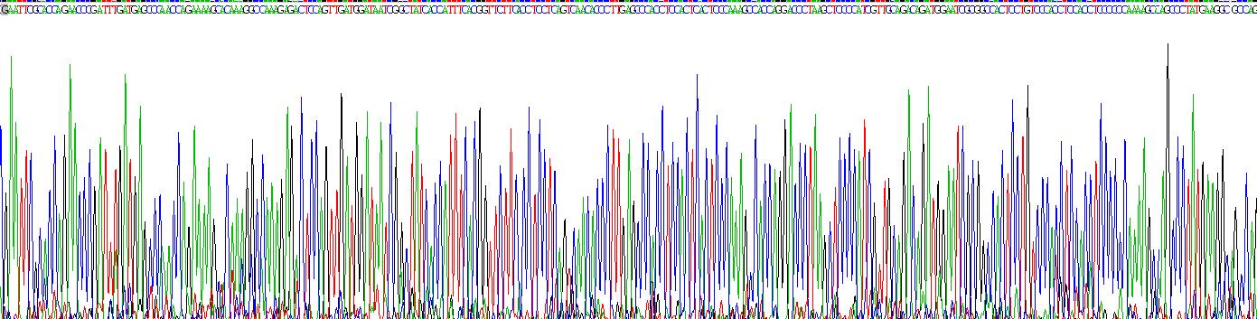 Recombinant Dedicator Of Cytokinesis 5 (DOCK5)