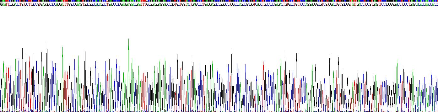 Recombinant Podocan (PODN)