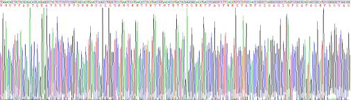 Recombinant Forkhead Box Protein A1 (FOXA1)