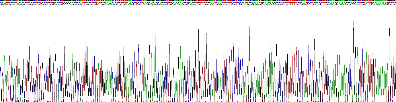 Recombinant Acylglycerol Kinase (AGK)