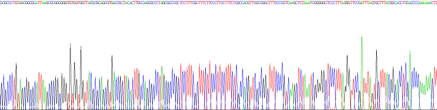 Recombinant Proteoglycan 4 (PRG4)