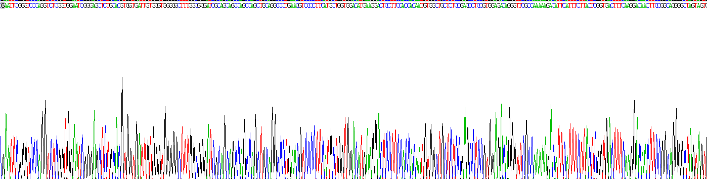 Recombinant p53 Responsive Gene 3 (PRG3)