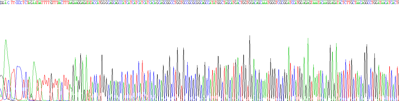 Recombinant Absent In Melanoma 2 (AIM2)