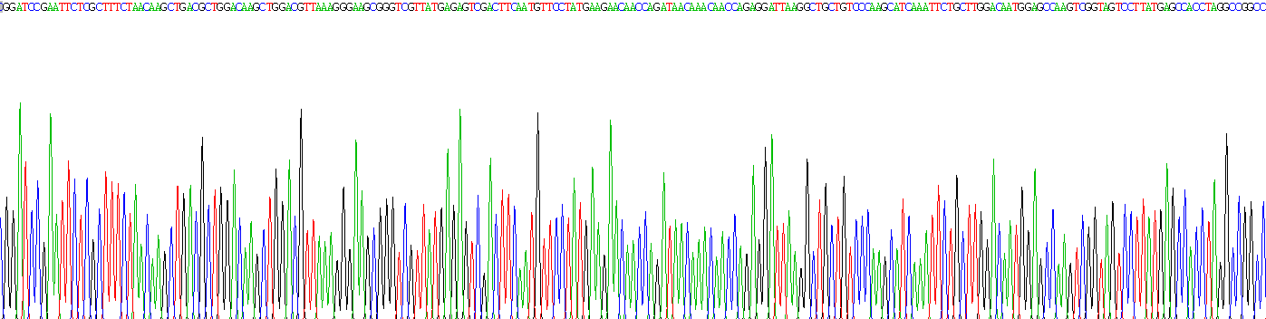 Recombinant Phosphoglycerate Kinase 1 (PGK1)