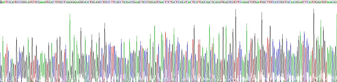 Recombinant Nephroblastoma Overexpressed Gene (NOV)