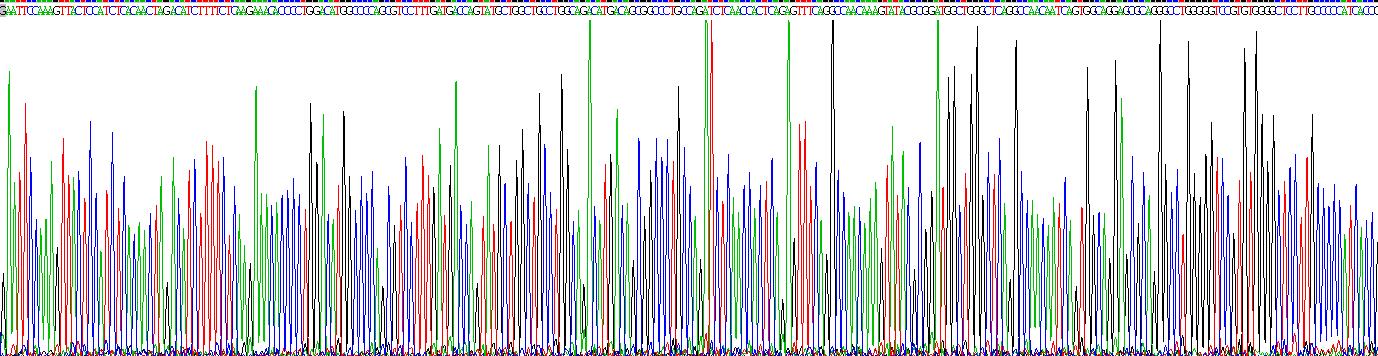 Recombinant ADP Ribosyltransferase 1 (ART1)