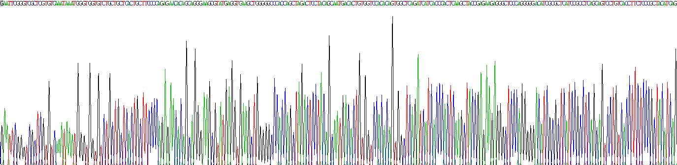 Recombinant Channel Activating Protease 1 (CAP1)