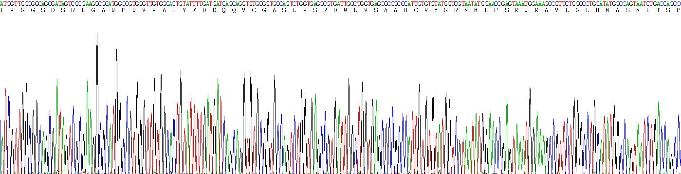 Recombinant Enterokinase (ENTK)