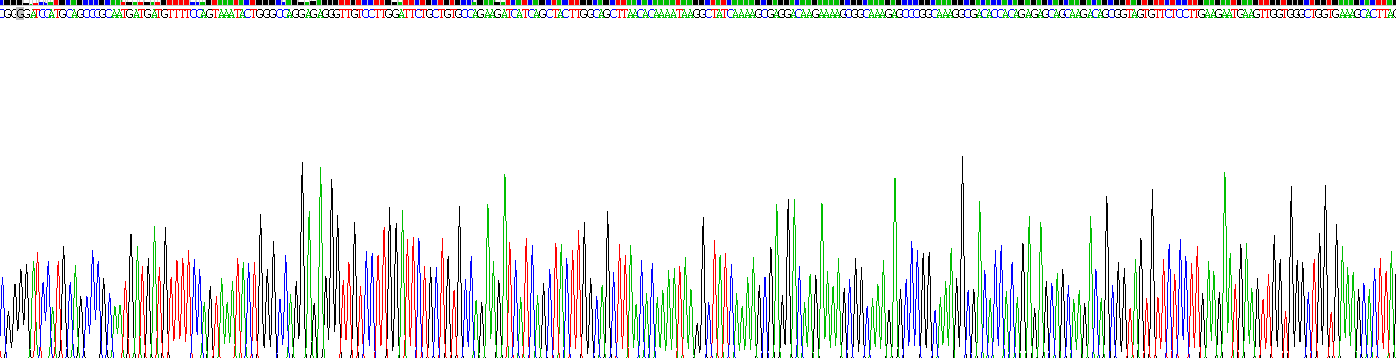 Recombinant Tryptophan Hydroxylase 2 (TPH2)