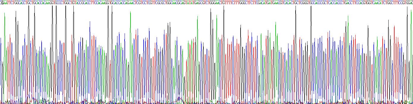 Recombinant Cholesterol-25-Hydroxylase (CH25H)