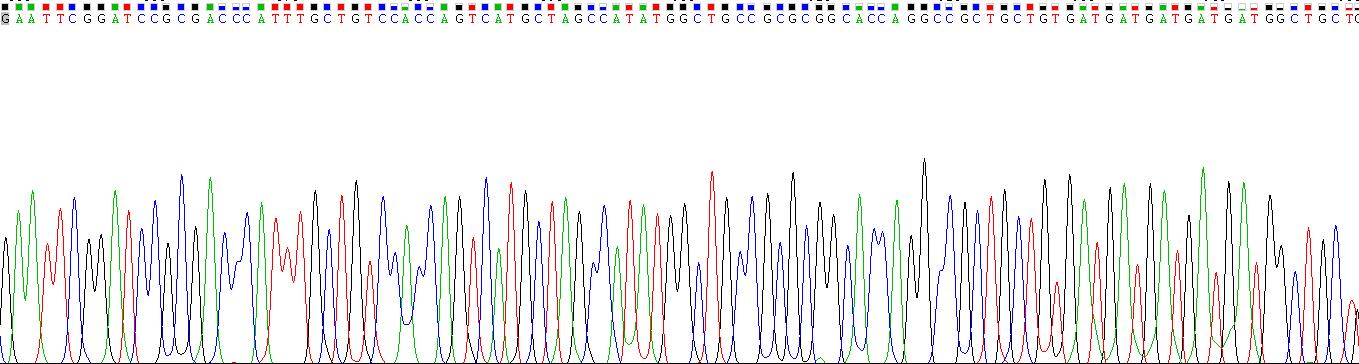 Recombinant Hydroxyacid Oxidase 1 (HAO1)