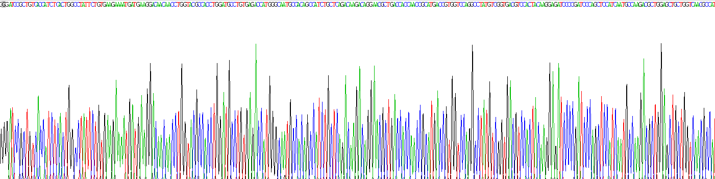 Recombinant ATPase, Ca++ Transporting, Plasma Membrane 2 (ATP2B2)