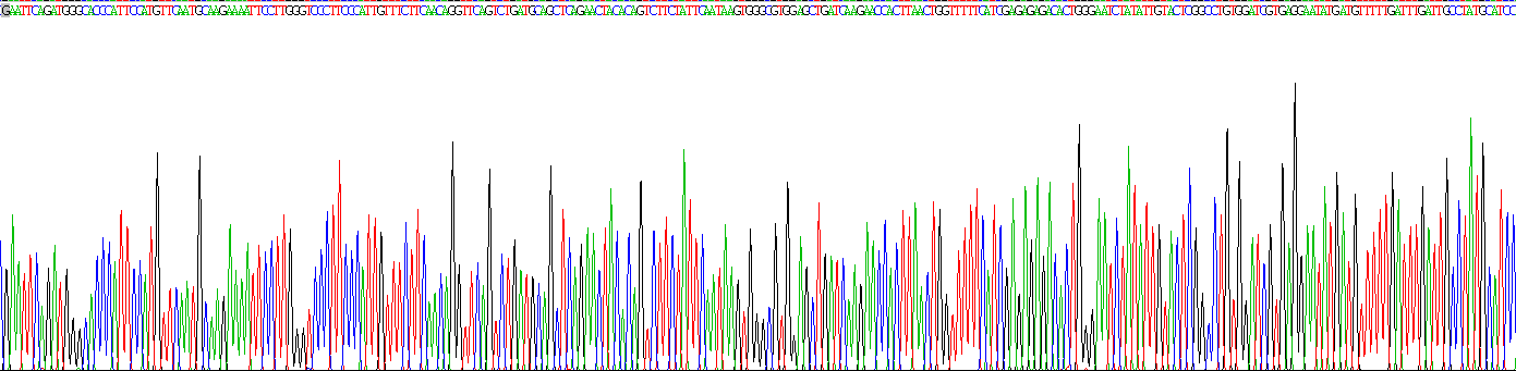 Recombinant Desmocollin 3 (DSC3)