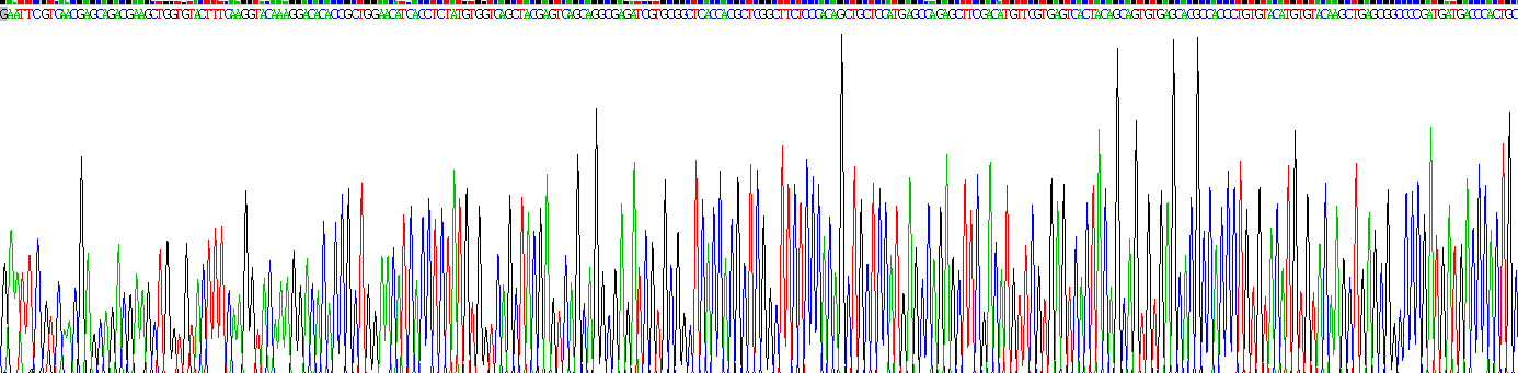 Recombinant Dipeptidyl Peptidase 9 (DPP9)