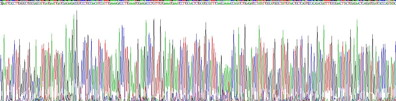 Recombinant Glycine Dehydrogenase (GLDC)