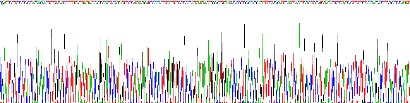 Recombinant Receptor Tyrosine Kinase Like Orphan Receptor 1 (ROR1)