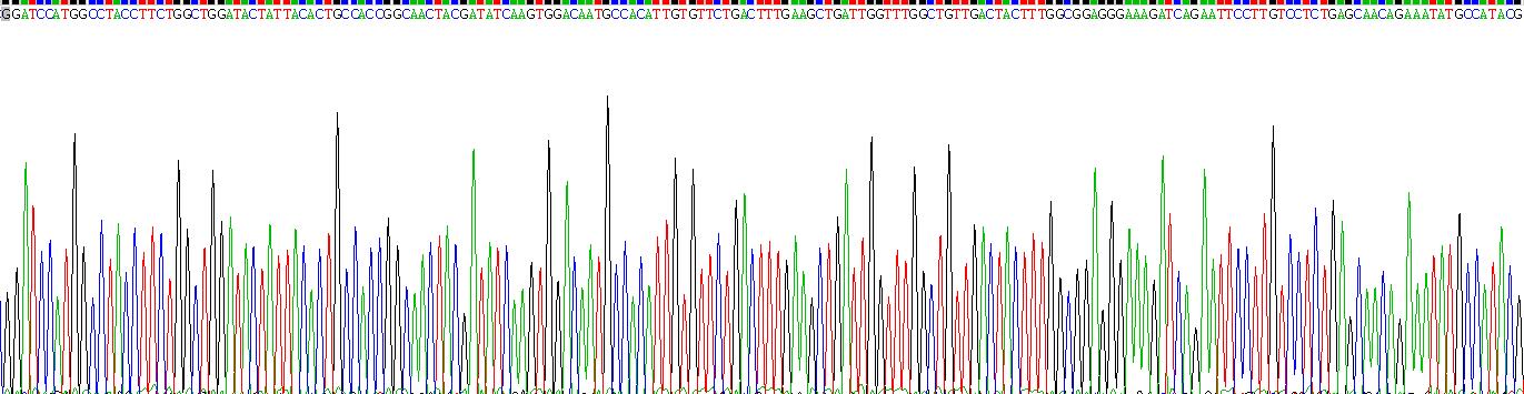 Recombinant Lysophosphatidylcholine Acyltransferase 3 (LPCAT3)