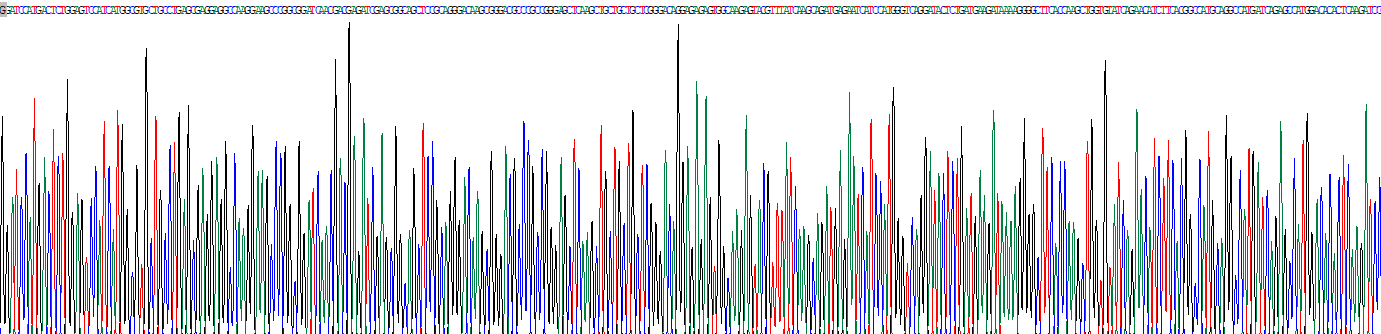 Recombinant Guanine Nucleotide Binding Protein Q Polypeptide (GNAQ)