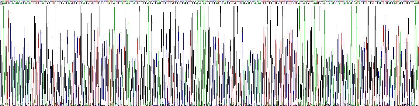 Recombinant Triggering Receptor Expressed On Myeloid Cells 2 (TREM2)