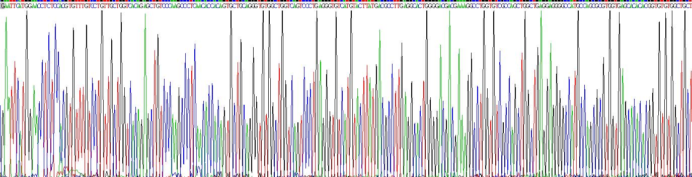 Recombinant Triggering Receptor Expressed On Myeloid Cells 2 (TREM2)