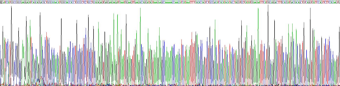 Recombinant Cereblon (CRBN)