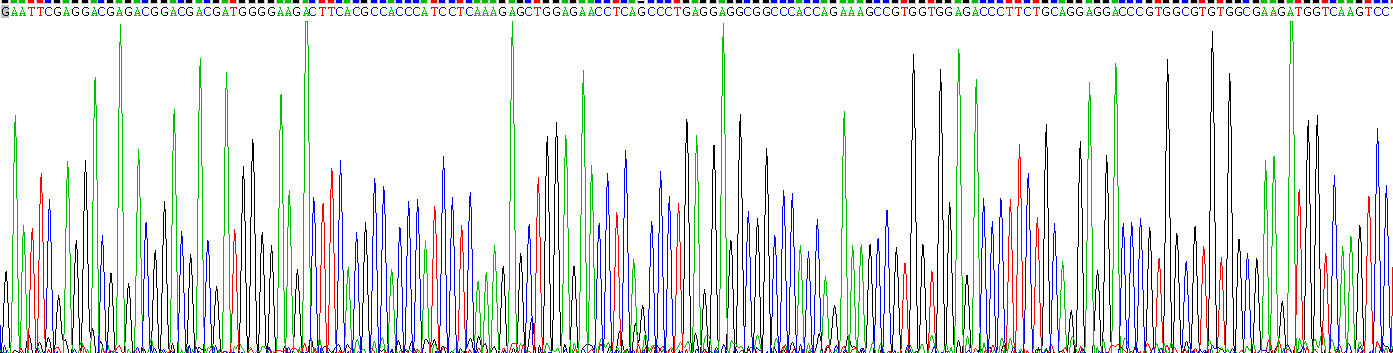 Recombinant Hepatocyte Nuclear Factor 1 Alpha (HNF1a)