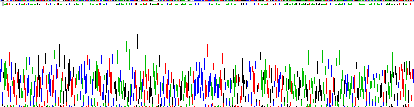 Recombinant Mdm2 p53 Binding Protein Homolog (MDM2)