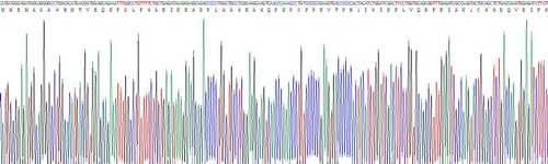 Recombinant Phosphatidylinositol-4-Kinase Catalytic Alpha (PI4Ka)