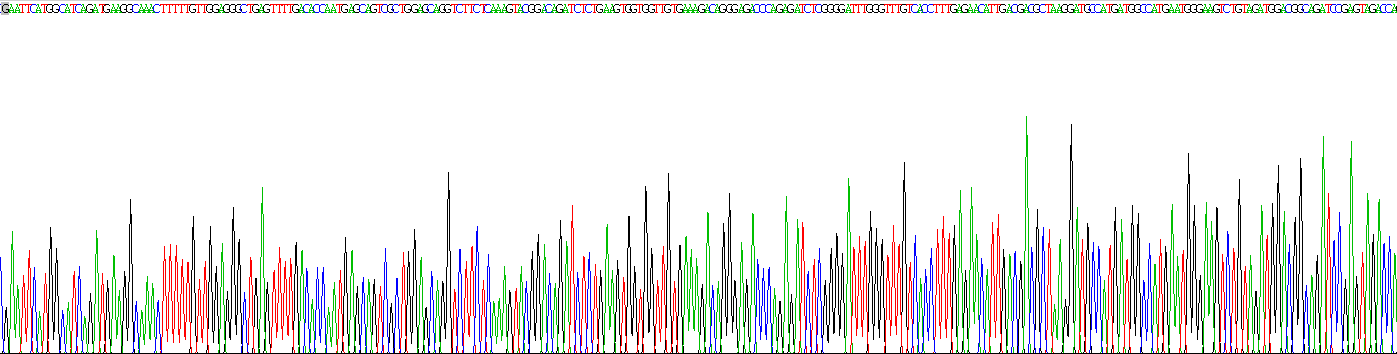 Recombinant Cold Inducible RNA Binding Protein (CIRBP)