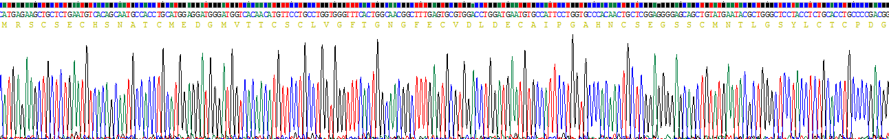 Recombinant Uromodulin (UMOD)